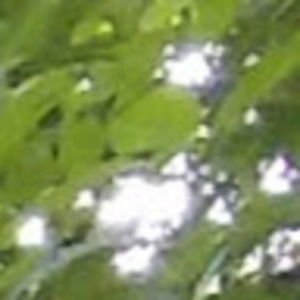 Meet your Posher, Eileen